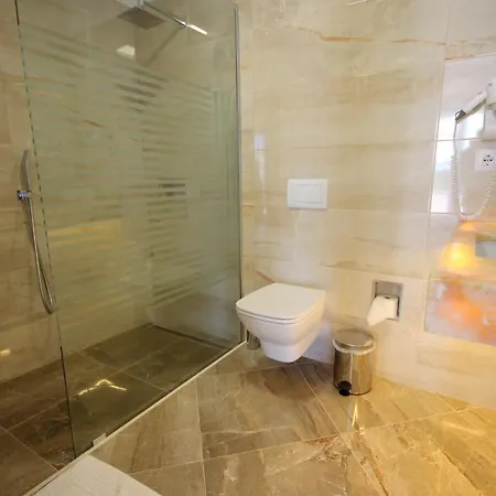 Delfini ホテル 3*